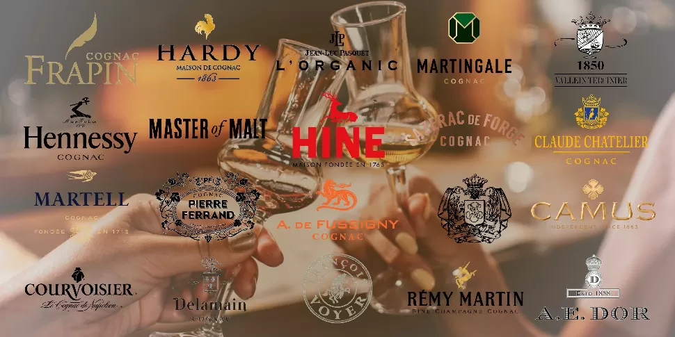 CHỌN RƯỢU COGNAC THEO THƯƠNG HIỆU